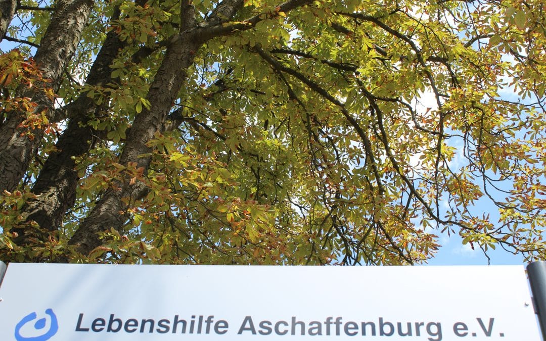 Schöne Sommerferien