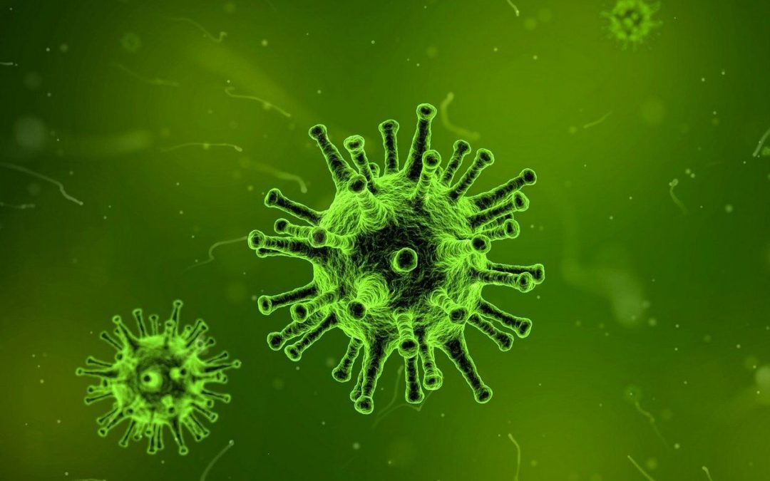 Informationen zu dem Corona-Virus