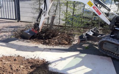 Was macht ein Bagger im Rädchenhof?
