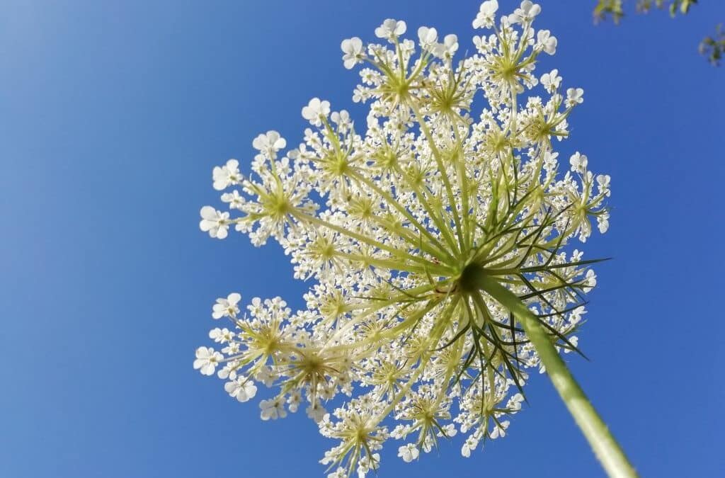 Schöne Sommerferien!