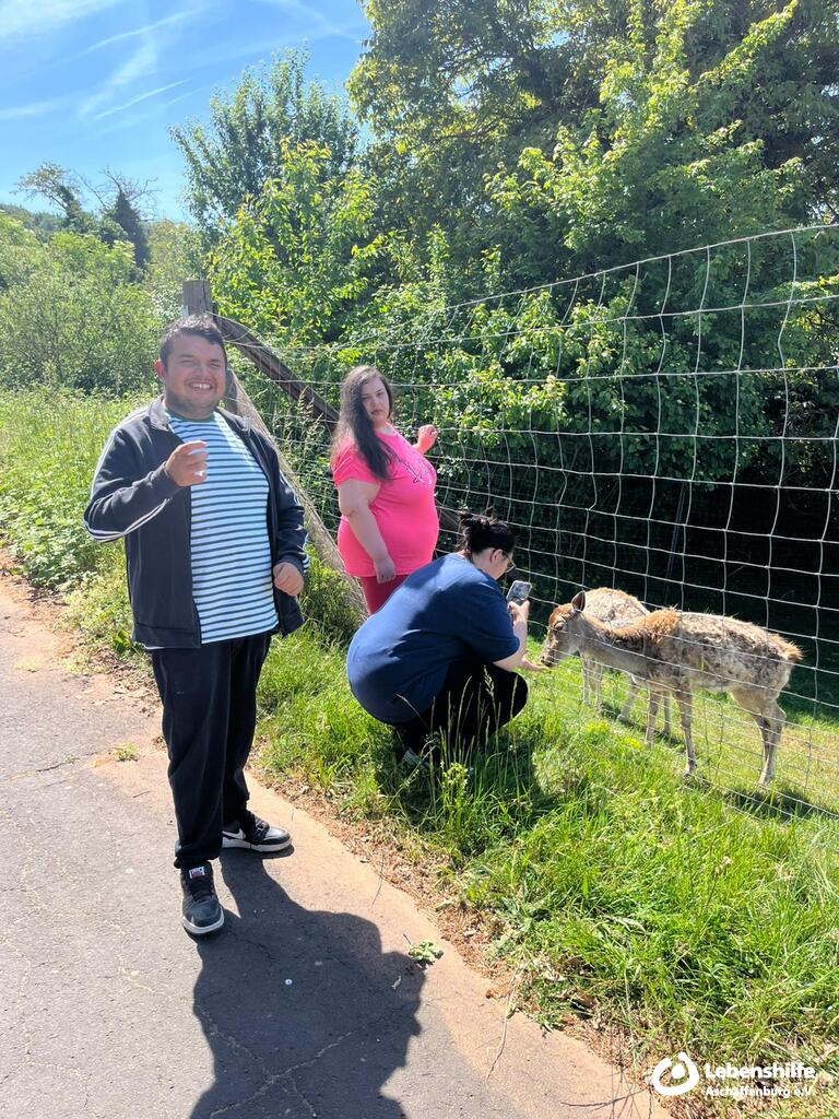 Besuch bei Rehen auf der Erdbeer-Ranch in Alzenau, Bild 3