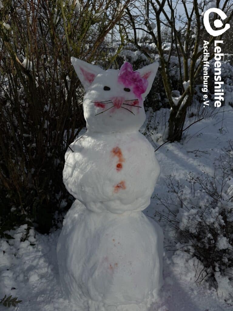 Spaß im Schnee in der Tagesförderstätte, Bild 4