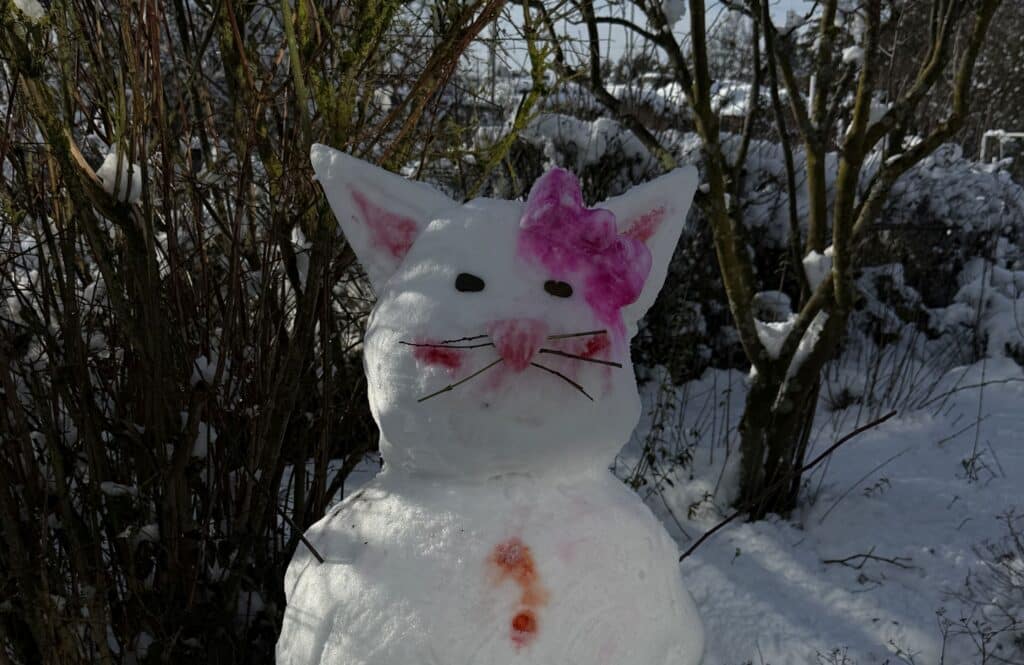 Schneekatze in der Tagesförderstätte