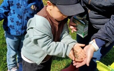 Earth Day – wir bereiten alles für unsere Bienen vor