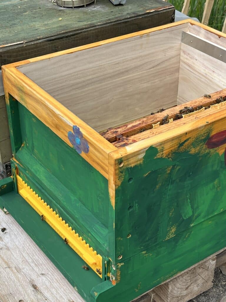 Die Bienenstöcke stehen an Ort und Stelle.