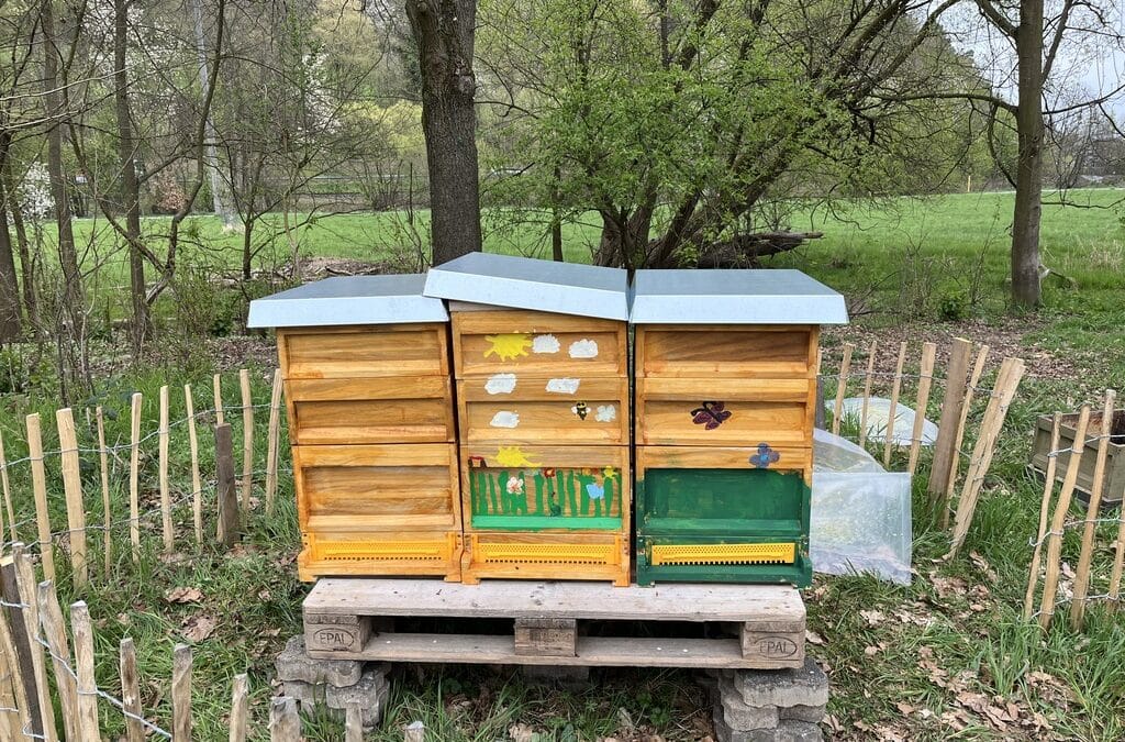 Unsere Bienen ziehen ein
