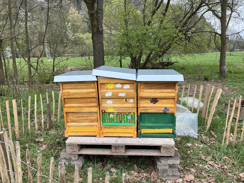 Fertig, die Bienenstöcke stehen.
