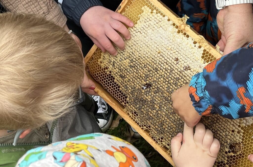 Unsere Bienen – ein großes Projekt mit kleinen Tieren