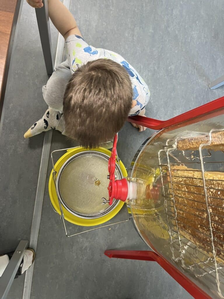 Und da läuft auch schon der erste Honig.