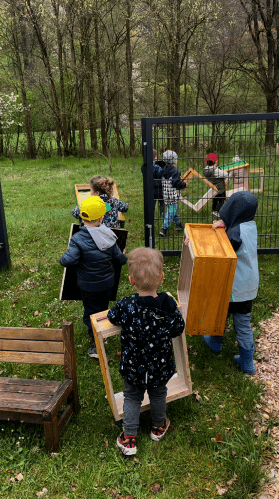 Aufbau der Bienenstöcke