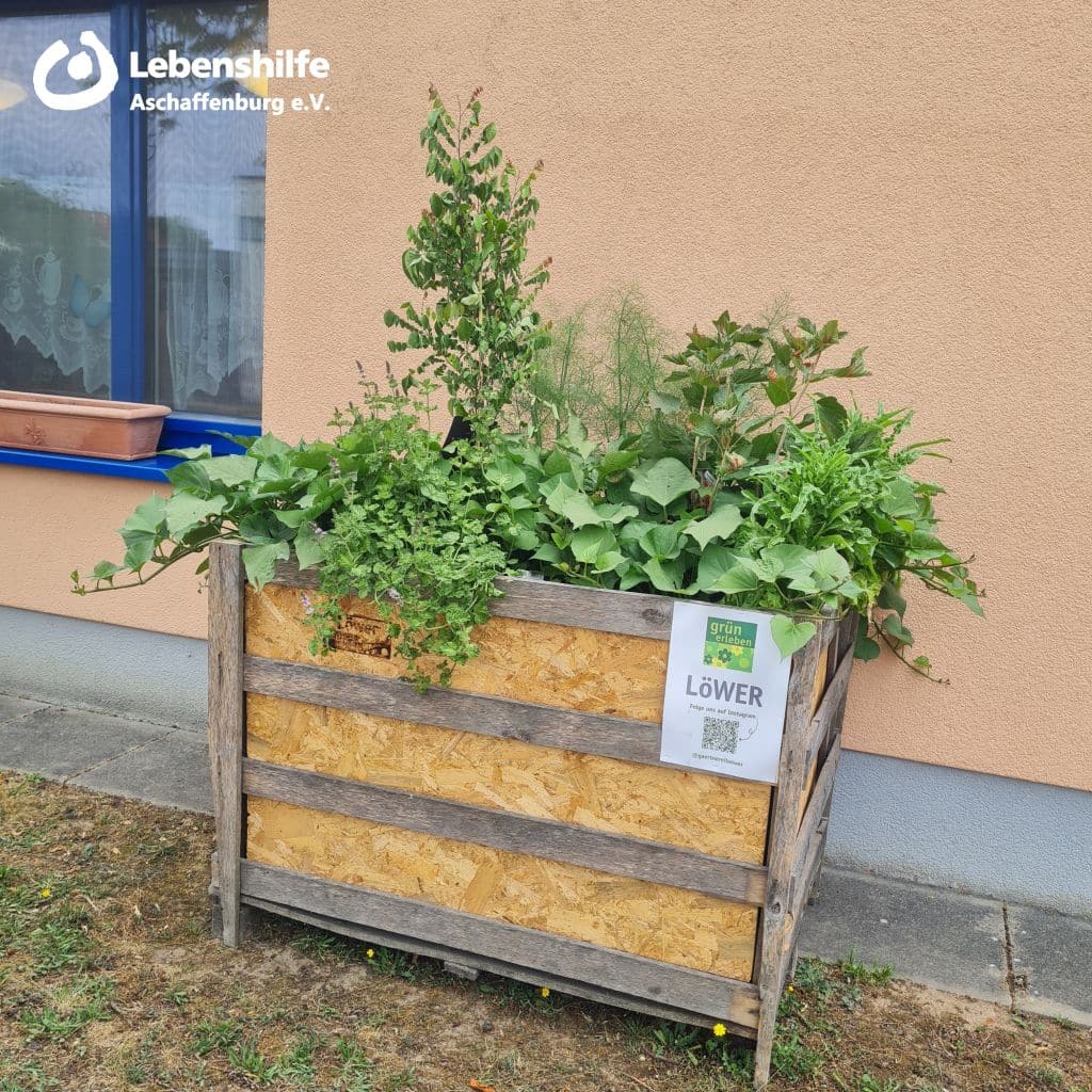 Hochbeet am Treffpunkt Mensch