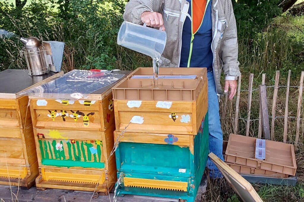 Titelbild Winterruhe der Bienen.