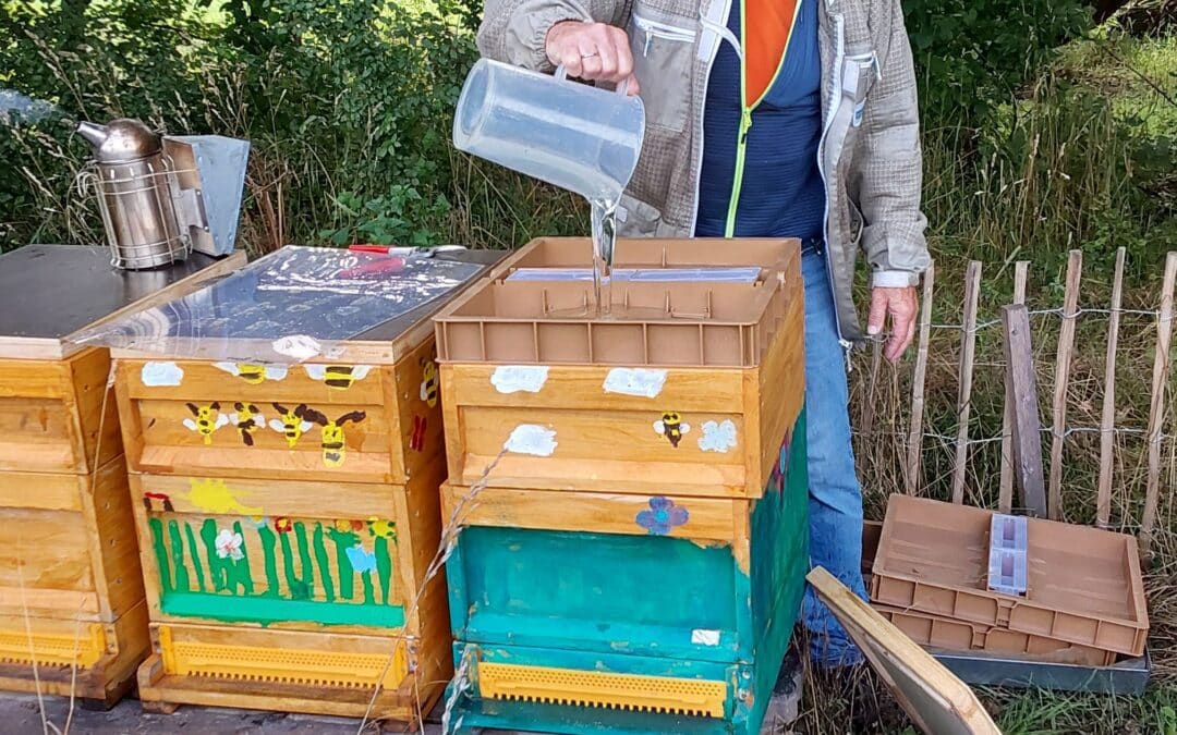 Unsere Bienen gehen in die Winterruhe