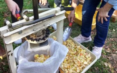Ein erlebnisreicher Tag auf der Streuobstwiese