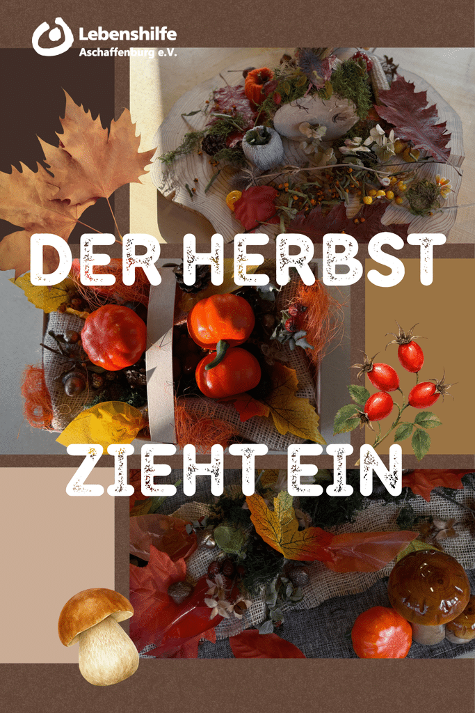 Herbst 2026 in der Tagesförderstätte, Bild 5