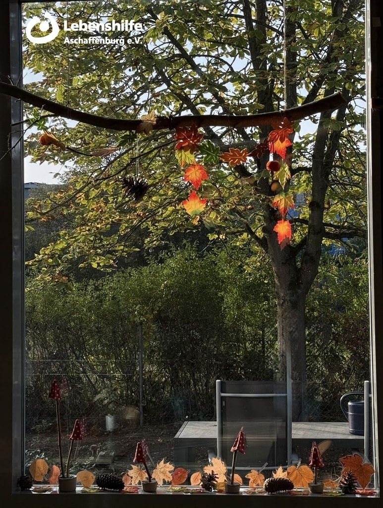 Herbst 2026 in der Tagesförderstätte, Bild 3